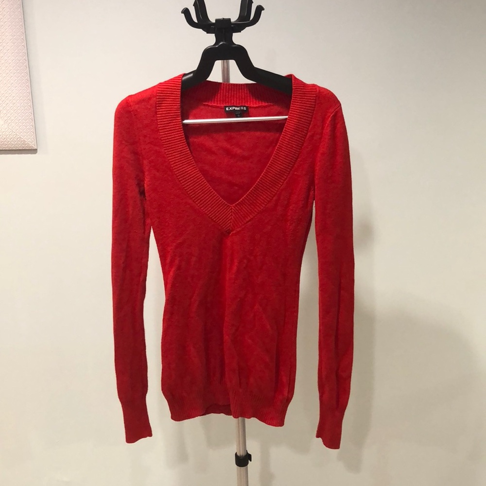 Express v neck sweater